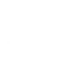 雅